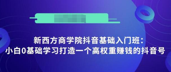 抖音基础入门班：小白0基础学习打造一个高权重赚钱的抖音号-圆梦资源网