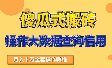 搬砖操作大数据查询信用项目赚钱教程，祝你快速月入6万-圆梦资源网