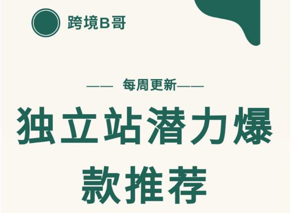 【跨境B哥】独立站潜力爆款选品推荐，测款出单率高达百分之80-圆梦资源网