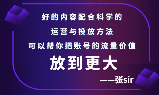 张sir账号流量增长课，告别海王流量，让你的流量更精准-圆梦资源网