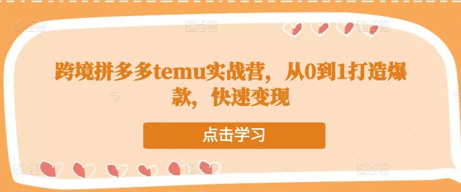 跨境拼多多temu实战营，从0到1打造爆款，快速变现-圆梦资源网