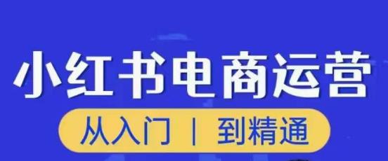 顽石小红书电商高阶运营课程，从入门到精通，玩法流程持续更新-圆梦资源网