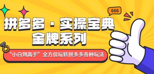 拼多多·实操宝典：金牌系列“小白到高手”带你全方位玩转拼多多各种玩法-圆梦资源网