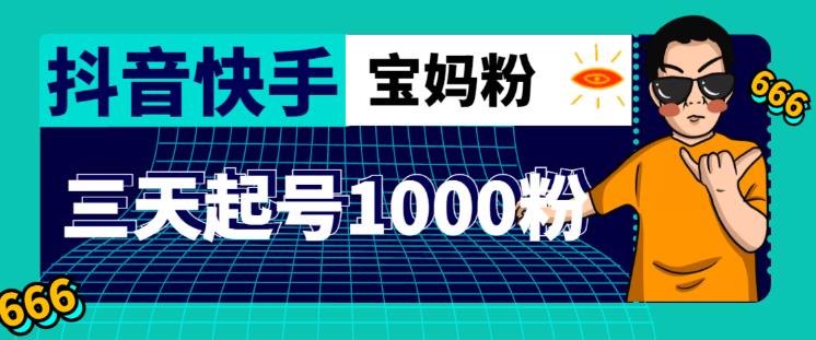 抖音快手三天起号涨粉1000宝妈粉丝的核心方法【详细玩法教程】-圆梦资源网