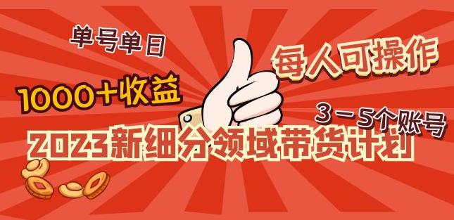 2023新细分领域带货计划：单号单日1000+收益不难，每人可操作3-5个账号-圆梦资源网