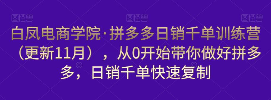 白凤电商学院·拼多多日销千单训练营，从0开始带你做好拼多多，日销千单快速复制（更新知2023年3月）-圆梦资源网