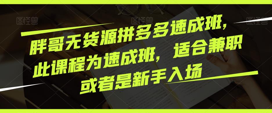 胖哥无货源拼多多速成班，此课程为速成班，适合兼职或者是新手入场-圆梦资源网