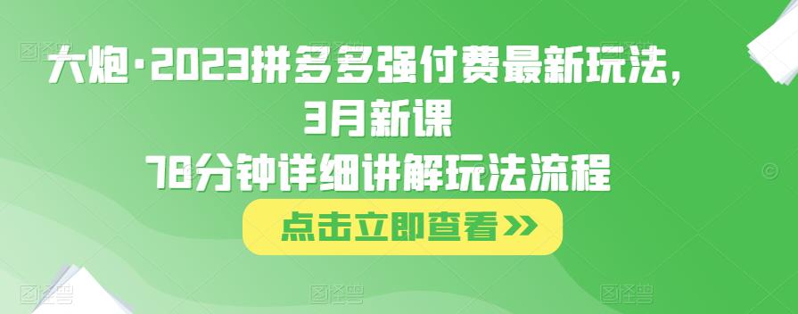 大炮·2023拼多多强付费最新玩法，3月新课​78分钟详细讲解玩法流程-圆梦资源网