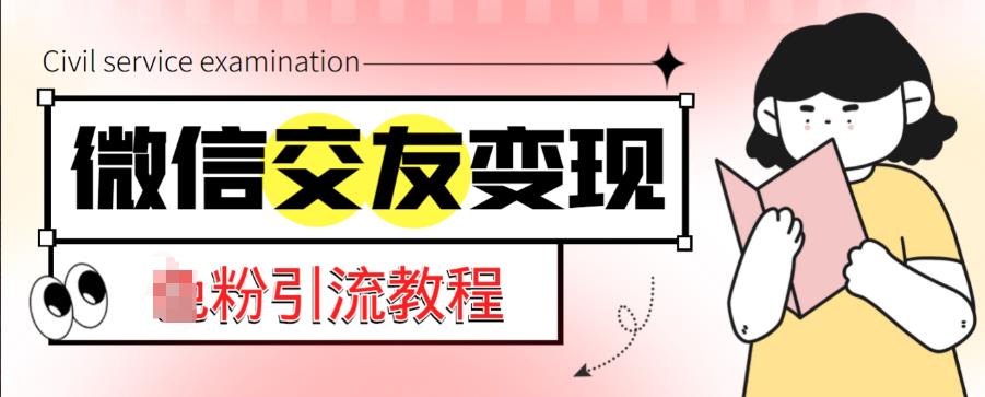 微信交友变现项目，吸引全网LSP男粉精准变现，小白也能轻松上手，日入500+-圆梦资源网