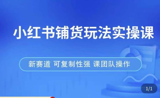 小红书铺货玩法实操课，流量大，竞争小，非常好做，新赛道，可复制性强，可团队操作-圆梦资源网