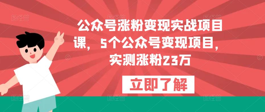 公众号涨粉变现实战项目课，5个公众号变现项目，实测涨粉23万-圆梦资源网