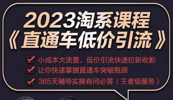 2023直通车低价引流玩法课程，小成本大流量，低价引流快速拉新收割，让你快速掌握直通车突破瓶颈-圆梦资源网