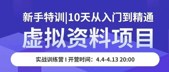 虚拟资料项目新手特训，10天从入门到精通，保姆级实操教学-圆梦资源网