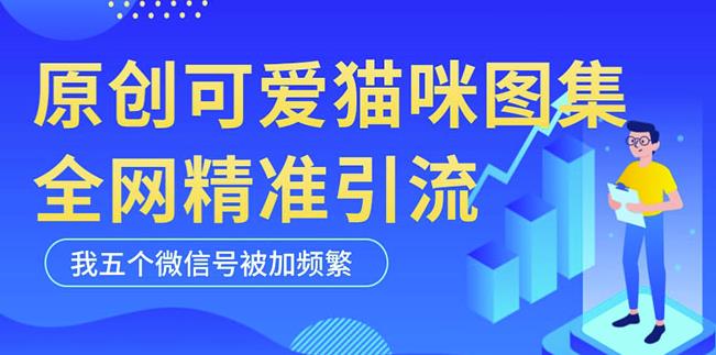 黑科技纯原创可爱猫咪图片，全网精准引流，实操5个VX号被加频繁-圆梦资源网