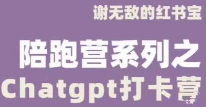 谢无敌ChatGPT打卡营，教你更好地使用ChatGPT来提高工作效率-圆梦资源网