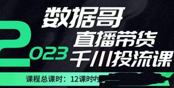 数据哥2023直播电商巨量千川付费投流实操课，快速掌握直播带货运营投放策略-圆梦资源网