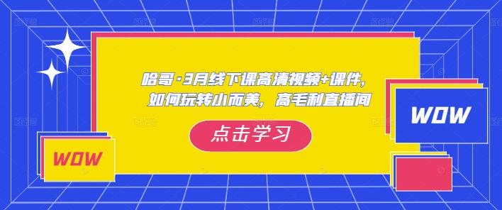 哈哥·3月线下实操课高清视频+课件，如何玩转小而美，高毛利直播间-圆梦资源网