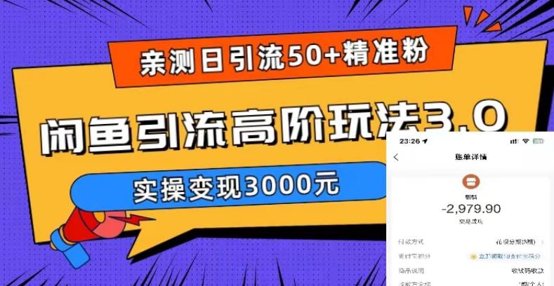 亲测日引50+精准粉，闲鱼引流高阶玩法3.0，实操变现3000元【揭秘】-圆梦资源网