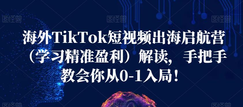 海外TikTok短视频出海启航营（学习精准盈利）解读，手把手教会你从0-1入局！-圆梦资源网