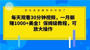 每天观看30分钟视频，一月躺赚1000+美金！保姆级教程，可放大操作【揭秘】-圆梦资源网