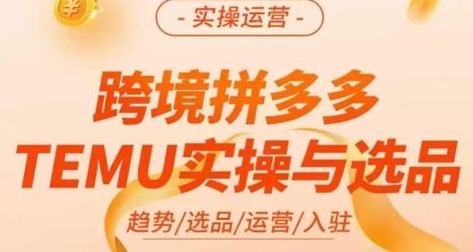 伍跃·跨境拼多多TEMU实操与选品，​趋势/选品/运营/入住（27节完整）-圆梦资源网