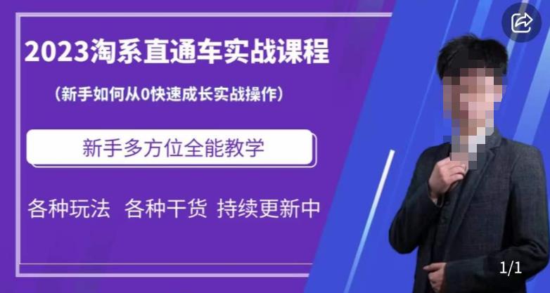 2023淘系直通车保姆式运营讲解，新手如何从0快速成长实战操作，新手多方位全能教学-圆梦资源网