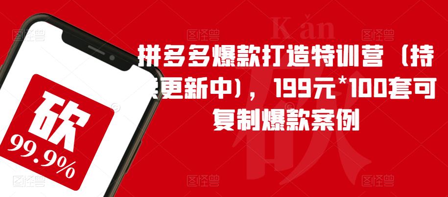 拼多多爆款打造特训营（持续更新中)，199元*100套可复制爆款案例-圆梦资源网