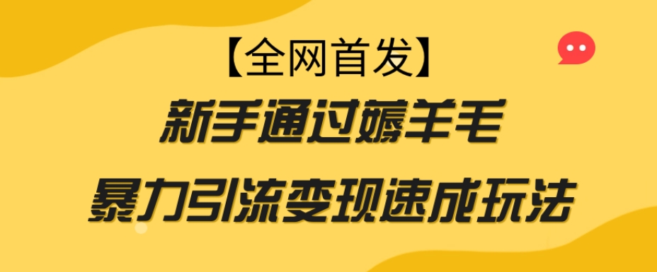 【全网首发】新手通过薅羊毛暴力引流变现速成玩法-圆梦资源网