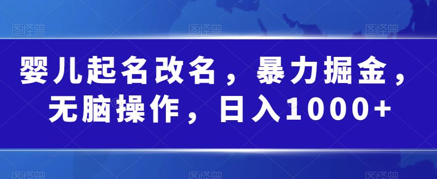 婴儿起名改名，暴力掘金，无脑操作，日入1000+【揭秘】-圆梦资源网