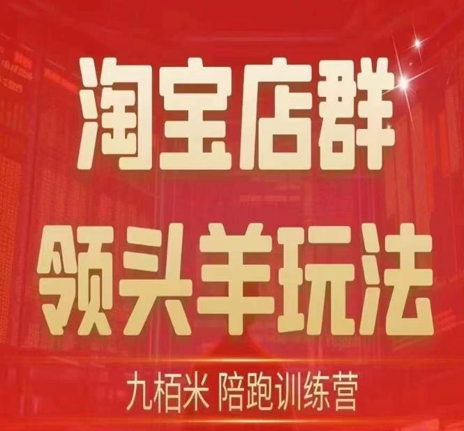 九栢米-淘宝店群领头羊玩法，教你整个淘宝店群领头羊玩法以及精细化/终极蓝海/尾销等内容-圆梦资源网