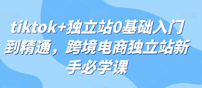 tiktok+独立站0基础入门到精通，跨境电商独立站新手必学课-圆梦资源网