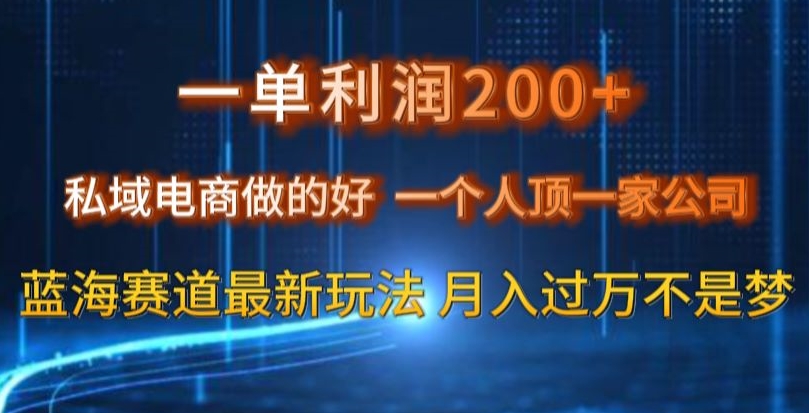 一单利润200私域电商做的好，一个人顶一家公司蓝海赛道最新玩法【揭秘】-圆梦资源网