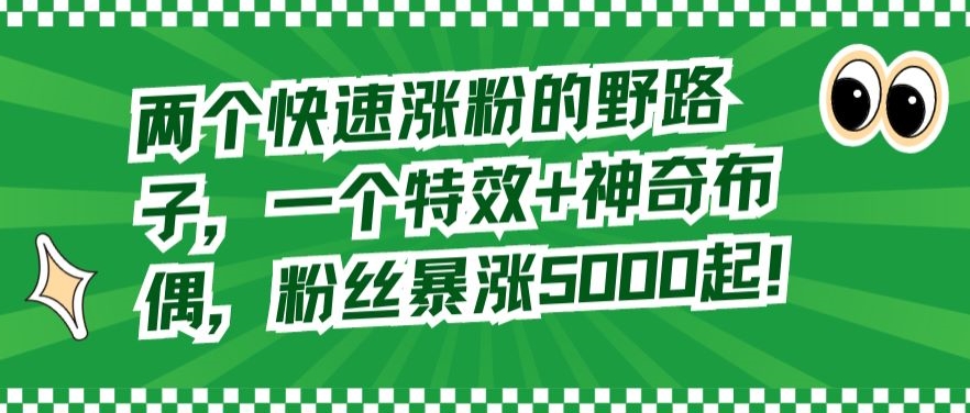 两个快速涨粉的野路子，一个特效+神奇布偶，粉丝暴涨5000起【揭秘】-圆梦资源网