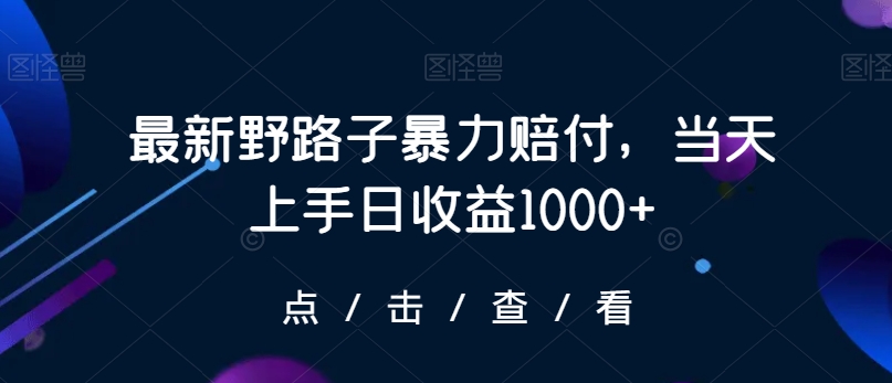 最新野路子暴力赔付，当天上手日收益1000+【仅揭秘】-圆梦资源网