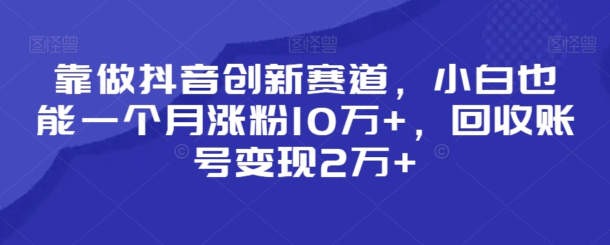 靠做抖音创新赛道，小白也能一个月涨粉10万+，回收账号变现2万+【揭秘】-圆梦资源网