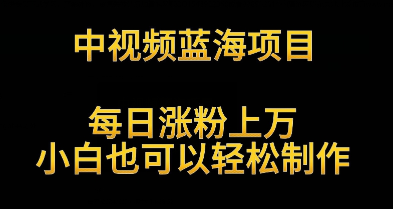 中视频蓝海项目，解读英雄人物生平，每日涨粉上万，小白也可以轻松制作，月入过万不是梦【揭秘】-圆梦资源网