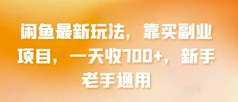 闲鱼最新玩法，靠买副业项目，一天收700+，新手老手通用【揭秘】-圆梦资源网