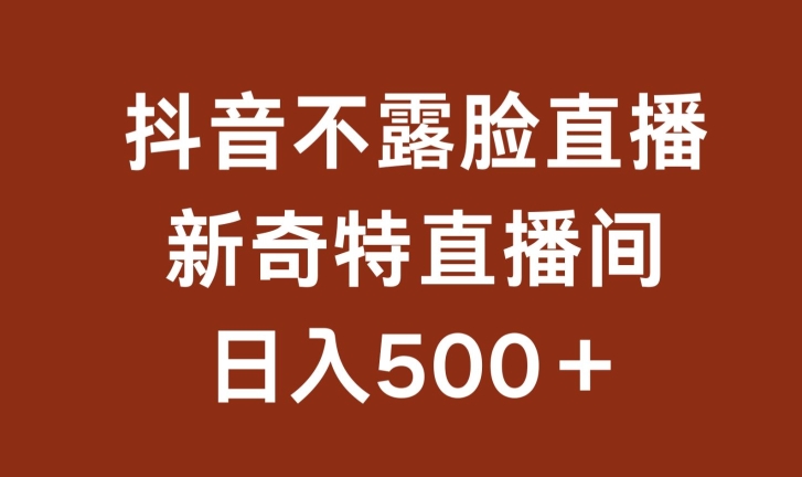 不露脸挂机直播，新奇特直播间，日入500+【揭秘】-圆梦资源网