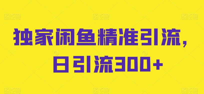 独家闲鱼精准引流，日引流300+【揭秘】-圆梦资源网