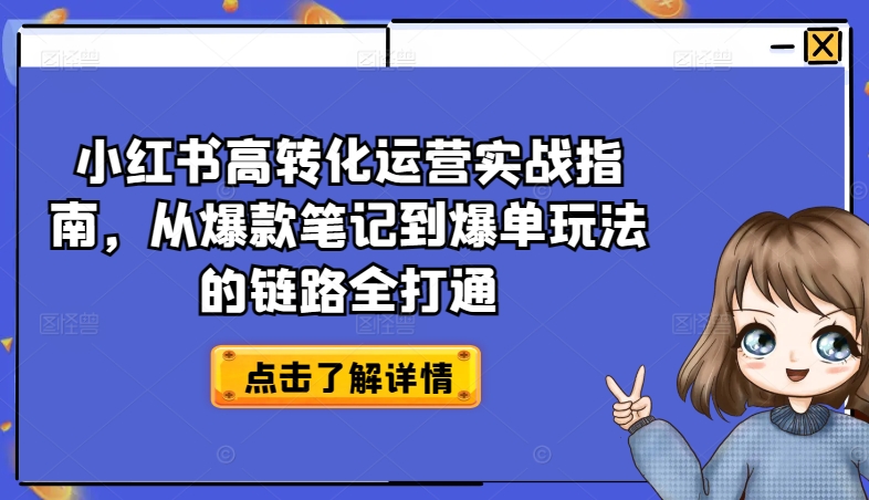 小红书高转化运营实战指南，从爆款笔记到爆单玩法的链路全打通-圆梦资源网