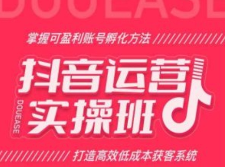 抖音运营实操班，掌握可盈利账号孵化方法，打造高效低成本获客系统-圆梦资源网