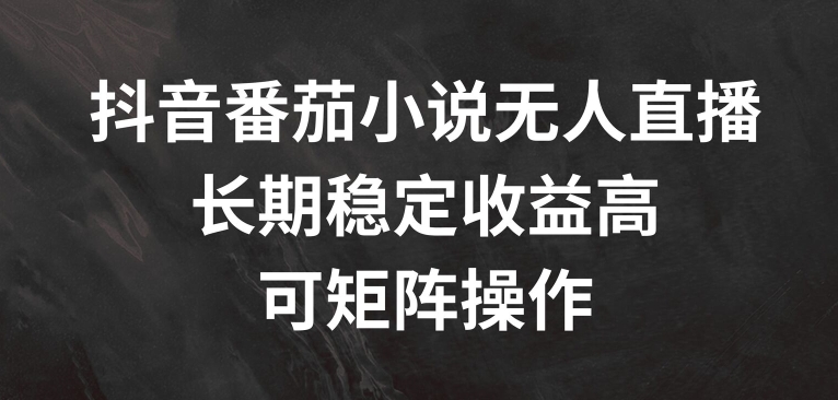 抖音番茄小说无人直播，长期稳定收益高，可矩阵操作【揭秘】-圆梦资源网