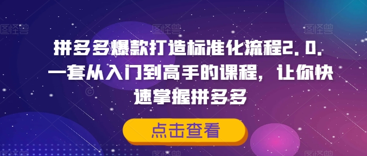 拼多多爆款打造标准化流程2.0，一套从入门到高手的课程，让你快速掌握拼多多-圆梦资源网