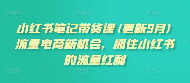 小红书笔记带货课(更新9月)流量电商新机会，抓住小红书的流量红利-圆梦资源网