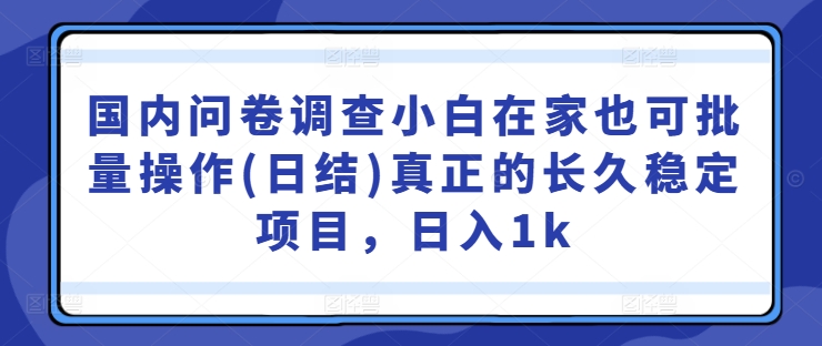 国内问卷调查小白在家也可批量操作(日结)真正的长久稳定项目，日入1k【揭秘】-圆梦资源网