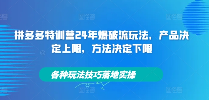 拼多多特训营24年爆破流玩法，产品决定上限，方法决定下限，各种玩法技巧落地实操-圆梦资源网