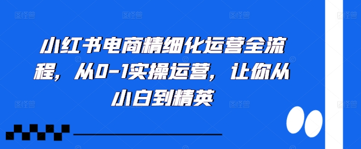 小红书电商精细化运营全流程，从0-1实操运营，让你从小白到精英-圆梦资源网