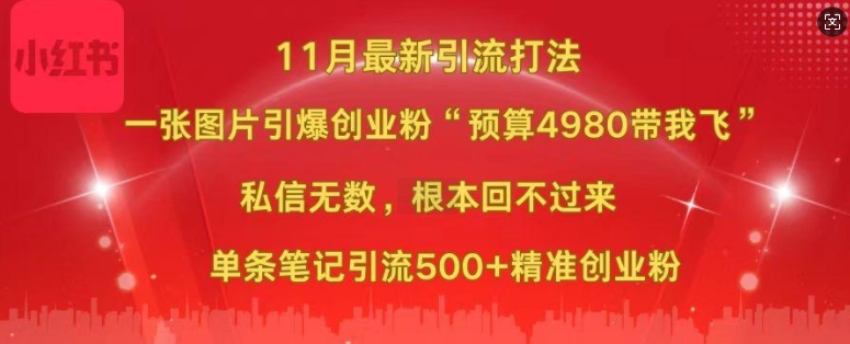 小红书11月最新图片打粉，一张图片引爆创业粉，“预算4980带我飞”，单条引流500+精准创业粉-圆梦资源网