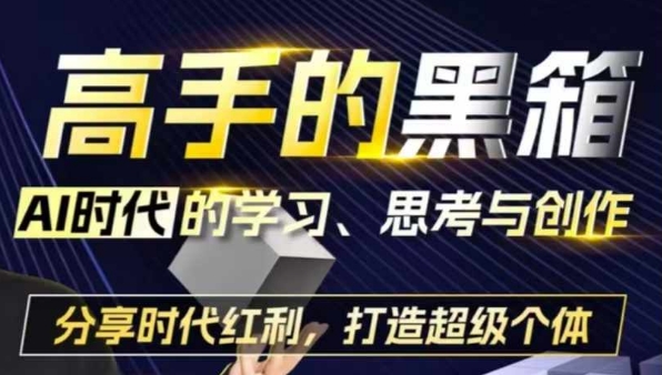 高手的黑箱：AI时代学习、思考与创作-分红时代红利，打造超级个体-圆梦资源网