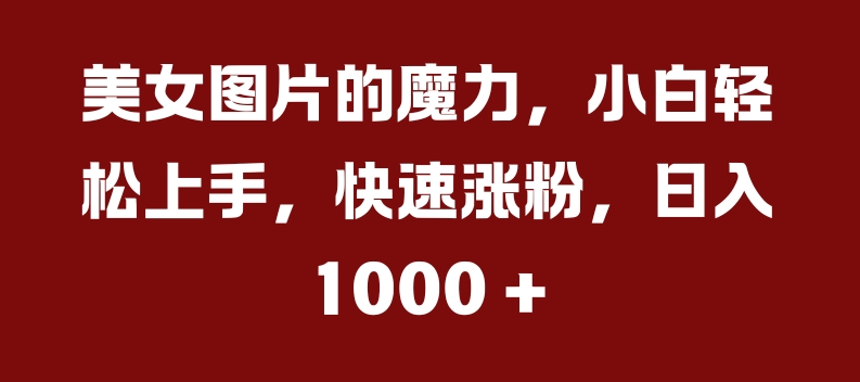 美女图片的魔力，小白轻松上手，快速涨粉，日入几张【揭秘】-圆梦资源网